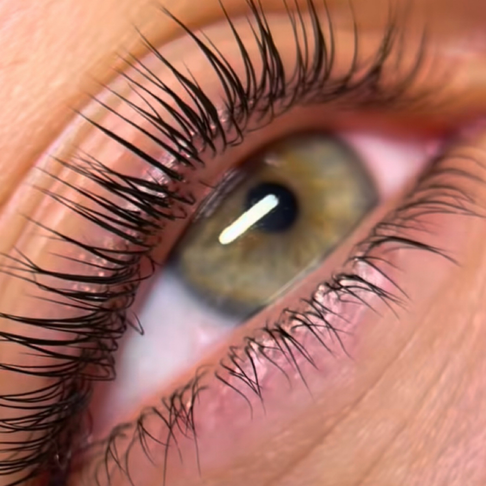 Lash Lift & Tint at Lashed Society in South Jordan, UT