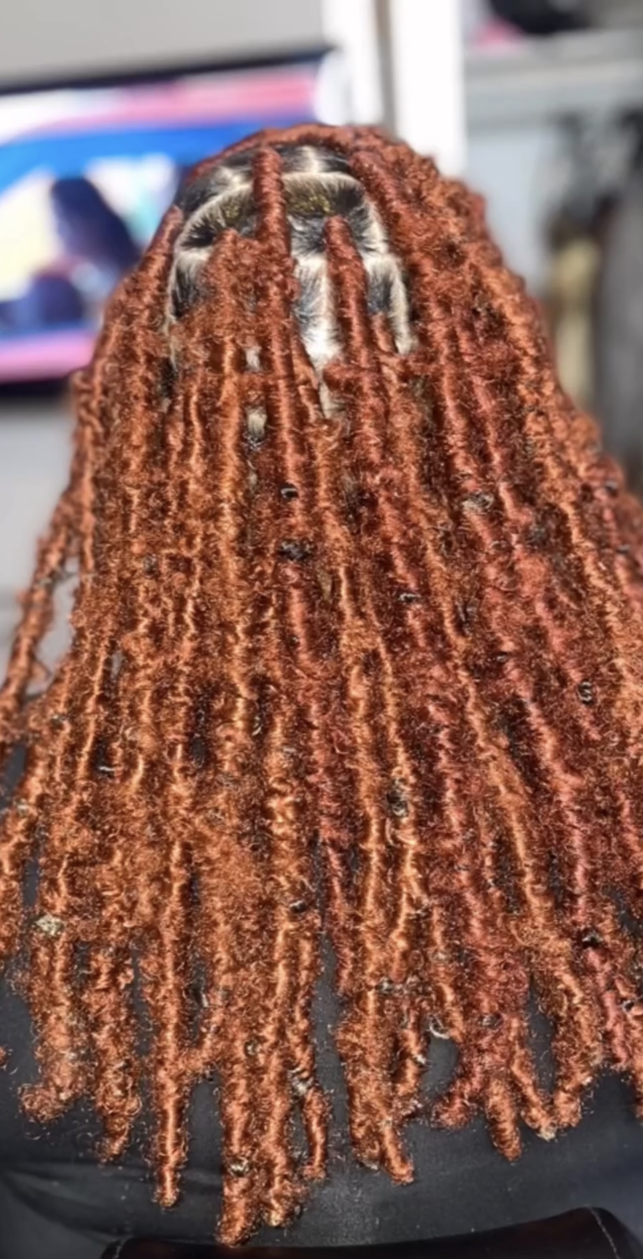 Butterfly Locs (short)