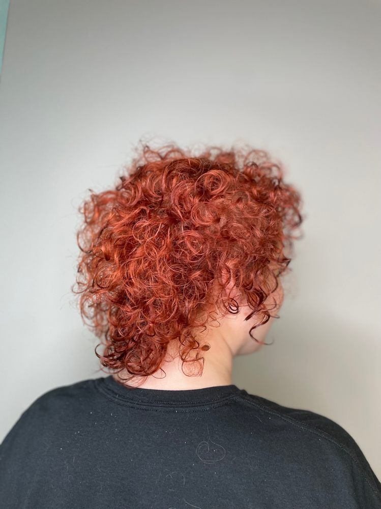 Root retouch