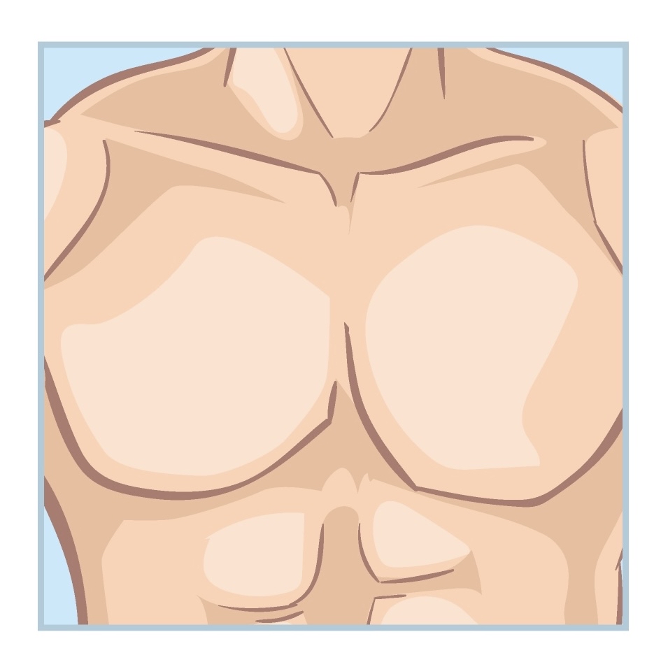 Chest