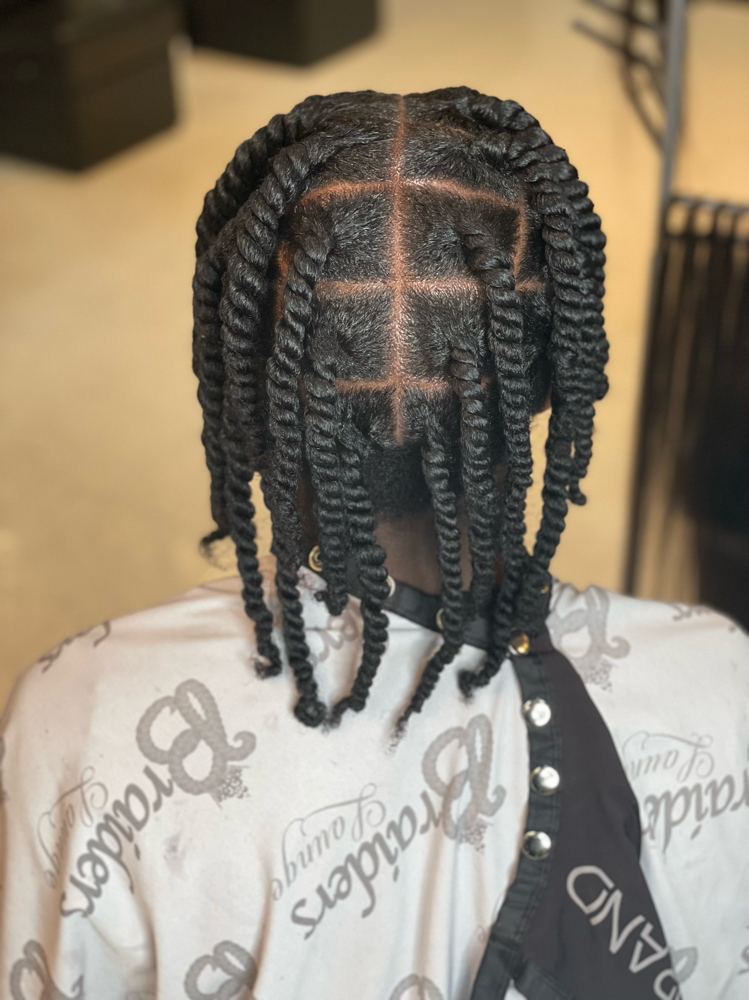 Two Strand Twists (Large)