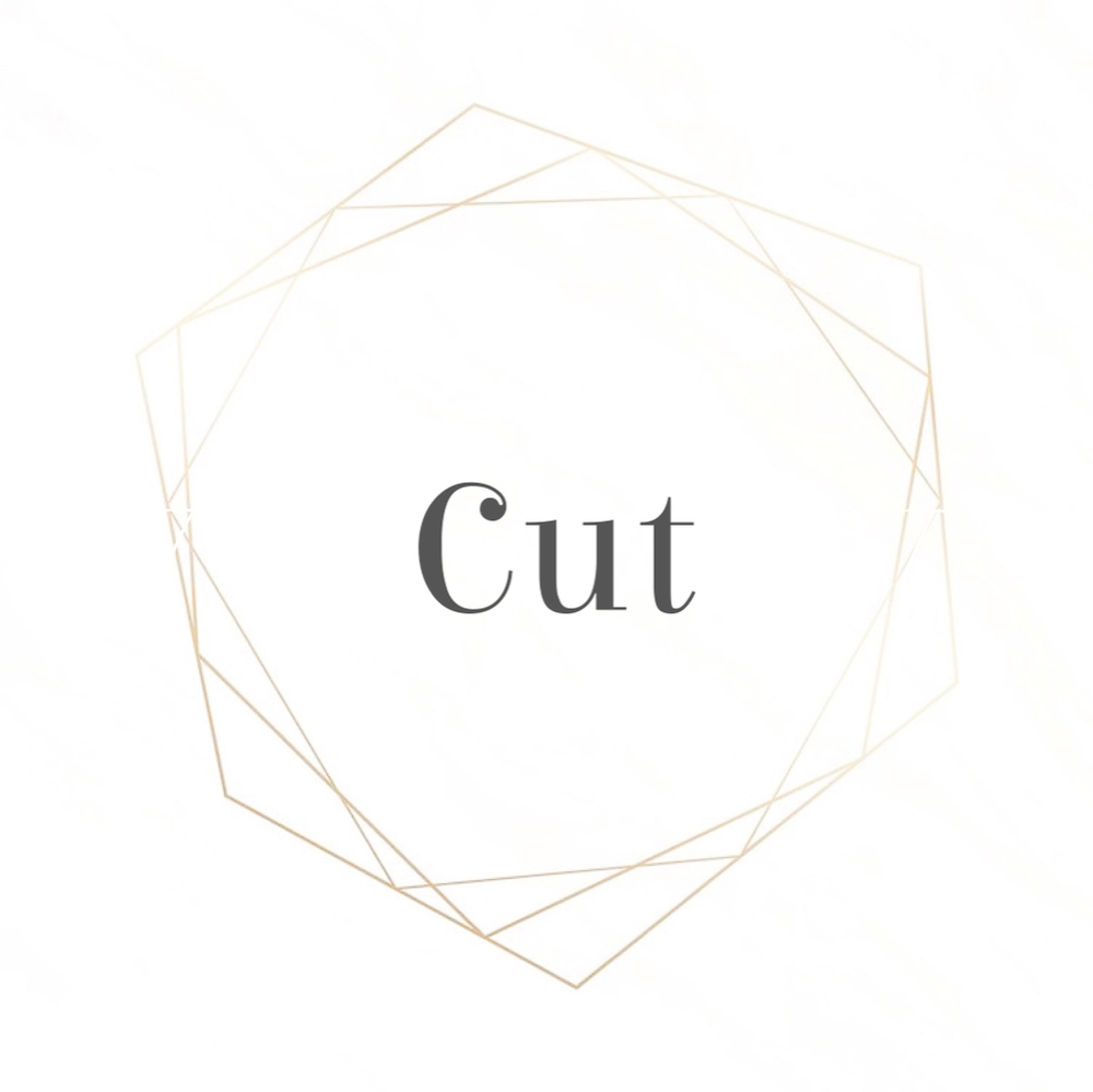 Established Guest Haircut