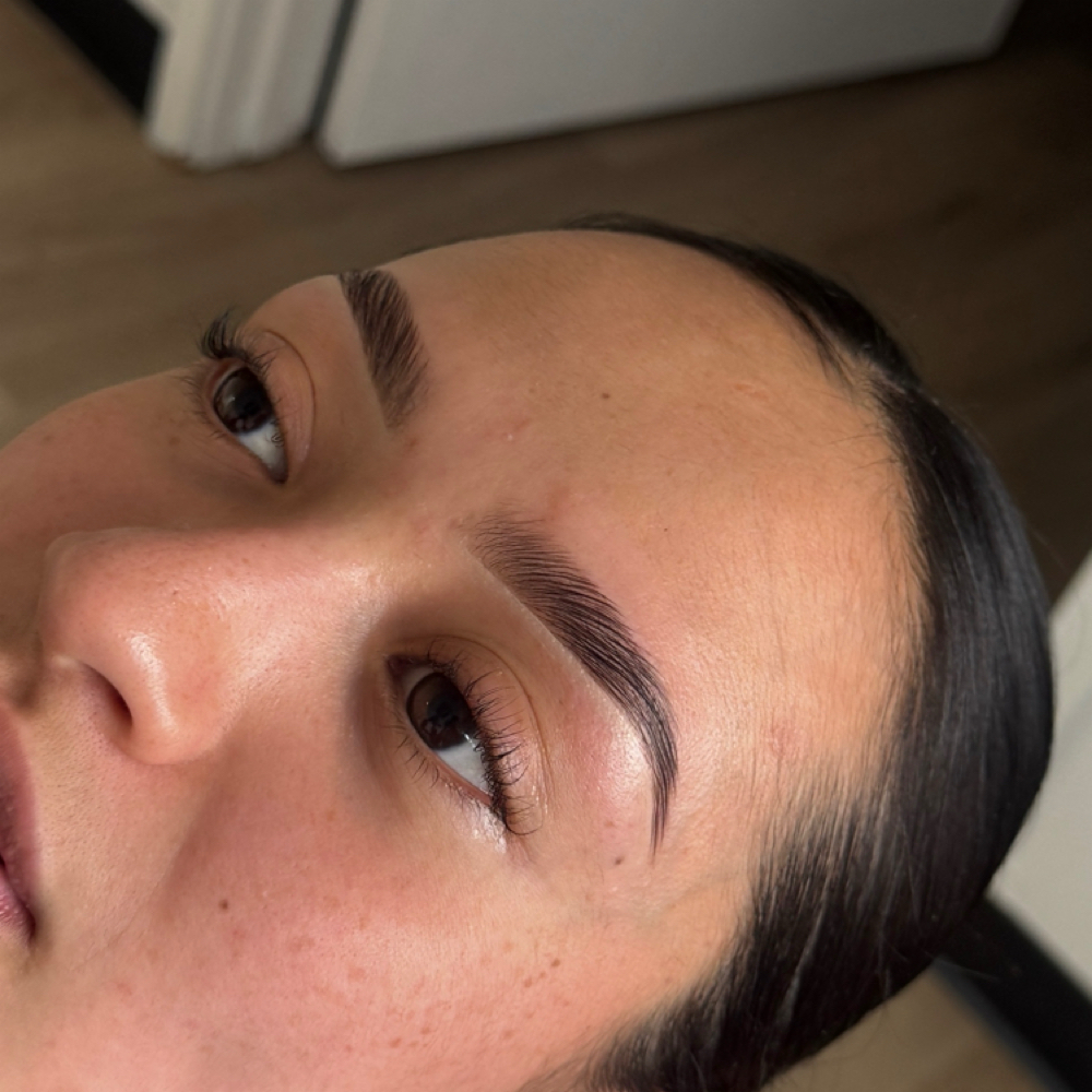 Brow lami + Hybrid tint at Essence Esthetics in Omaha, NE