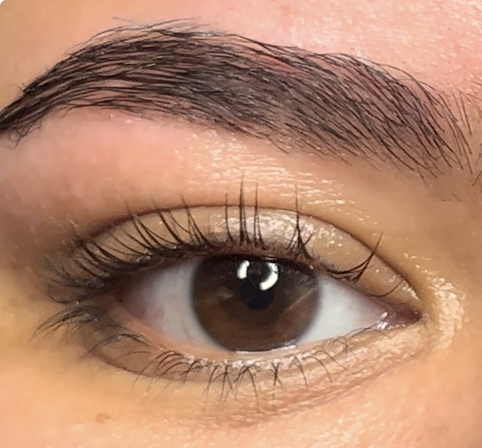 Brow Lamination & Tint