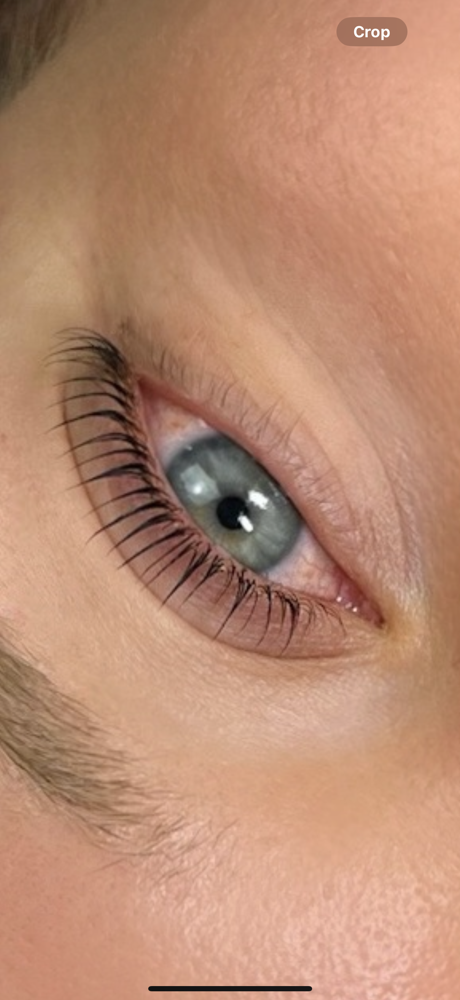 Korean Lash Lift