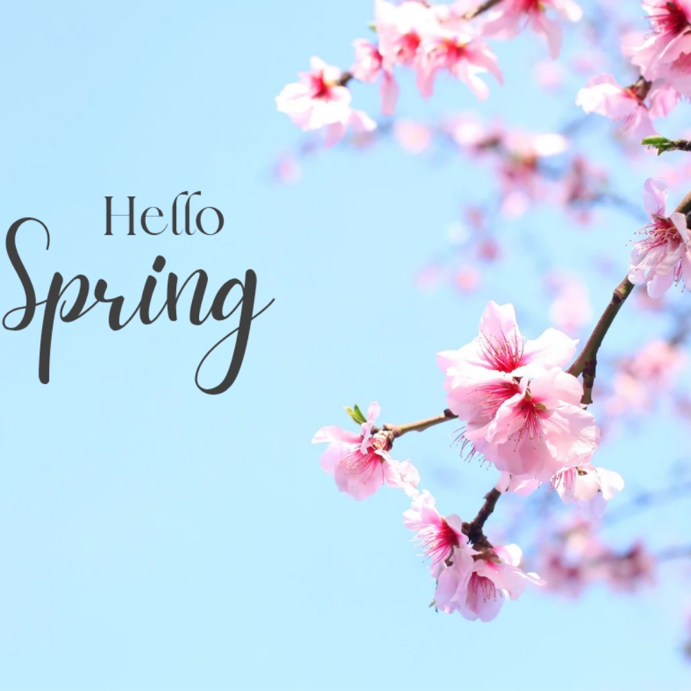 Spring Skin Restart Facial at The Skin Rendezvous in Mesa, AZ