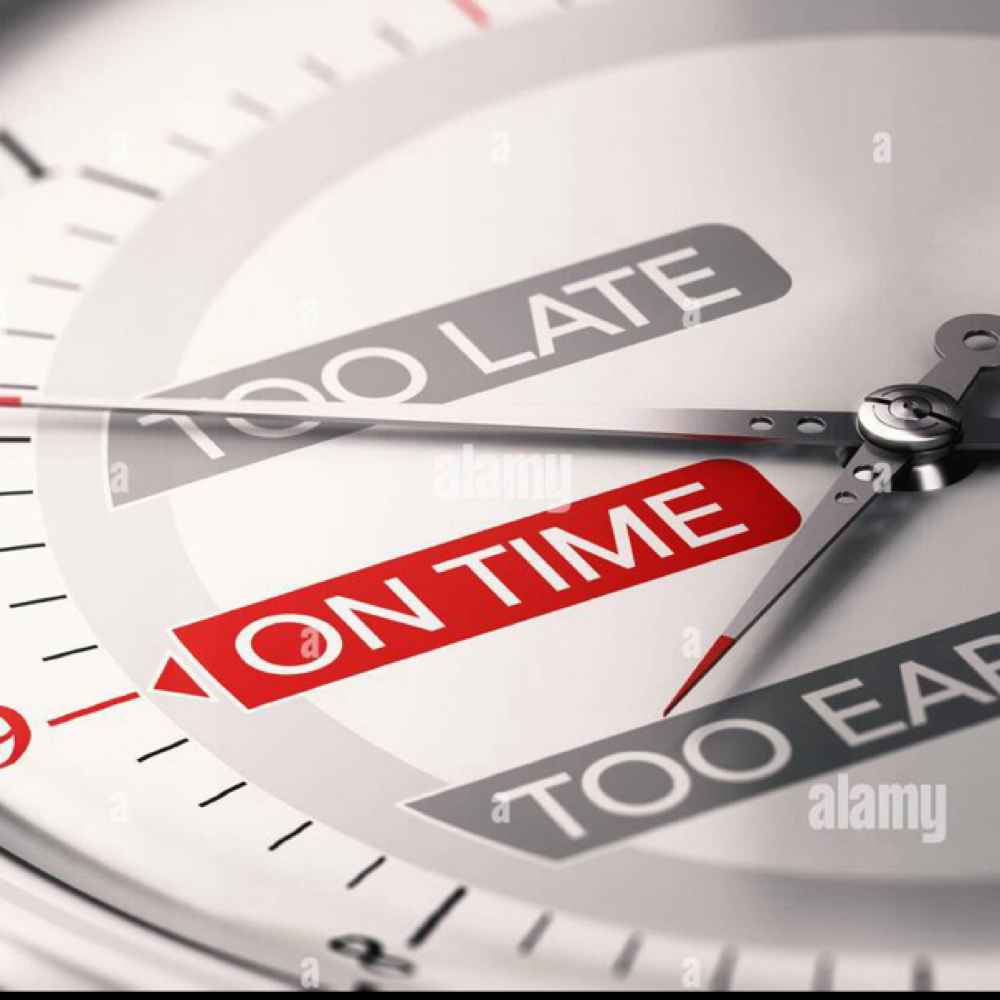 Late fee at Holypawzgrooming in Highland, CA