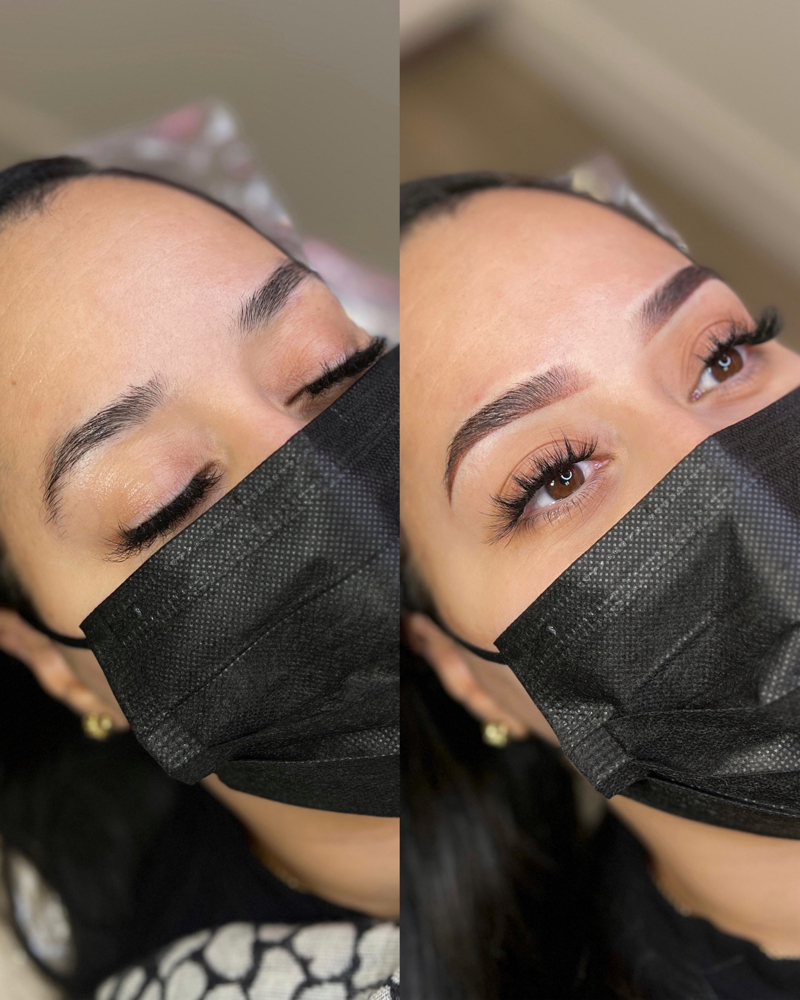 Ombre Brows / Microshading