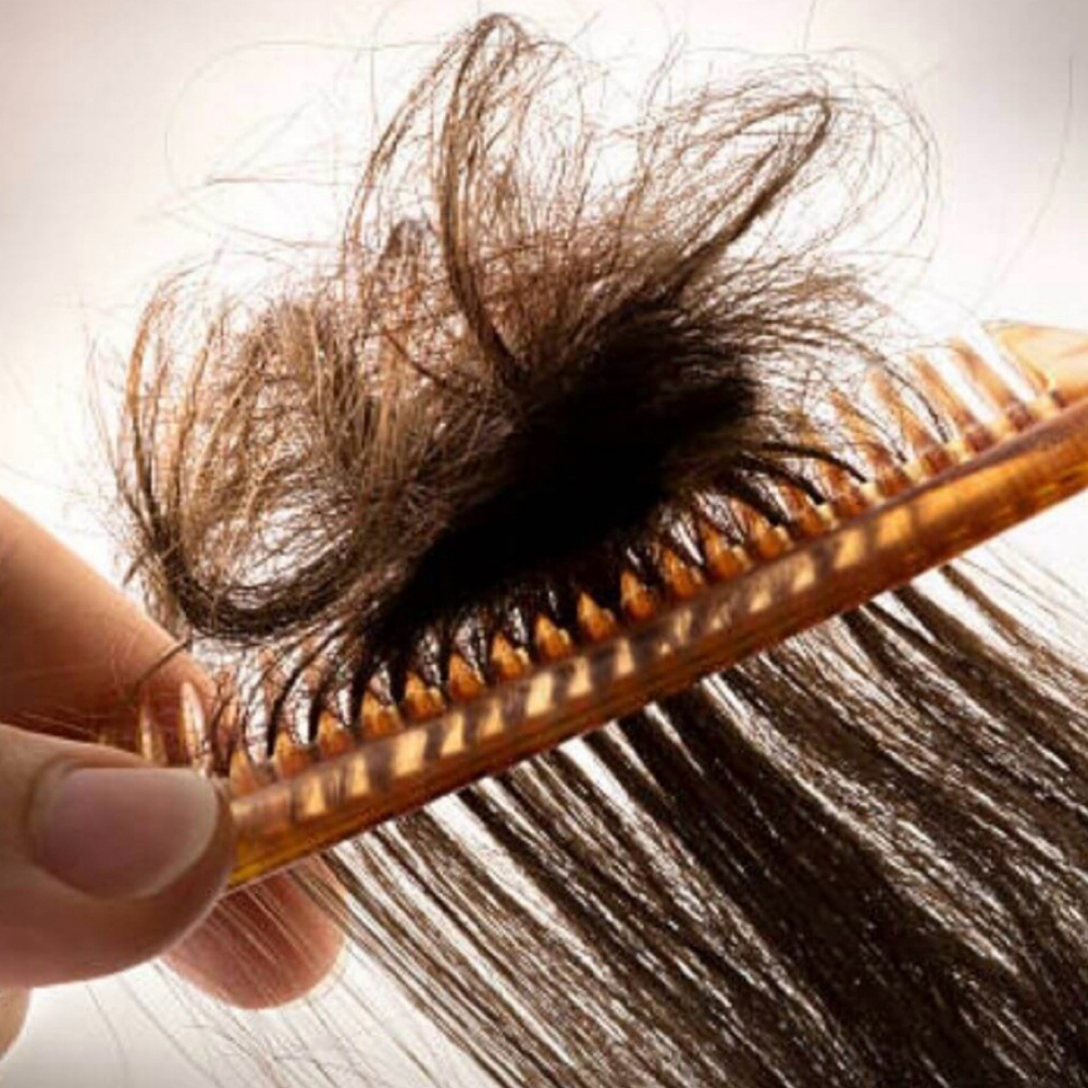 Detangle Fee at Lavish Salon LLC in East Providence, RI
