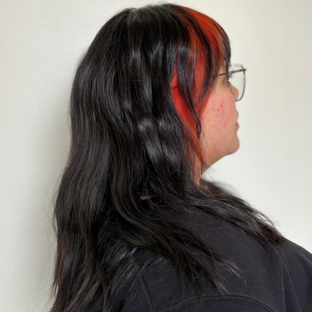 Block Color Sessions at Lotus Inferno Salon in Arvada, CO