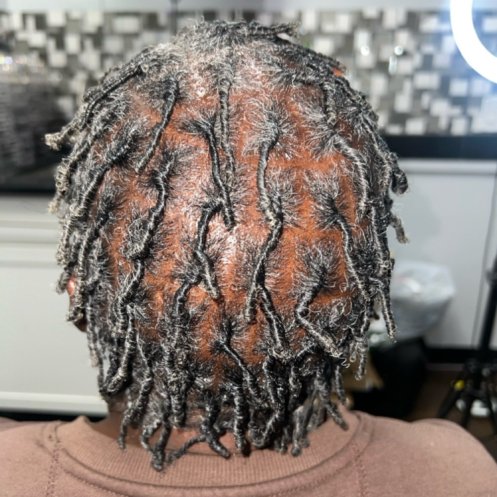Comb Coil Loc Start at LASHDAE of Roots To Royalty Studio in Phoenix, AZ