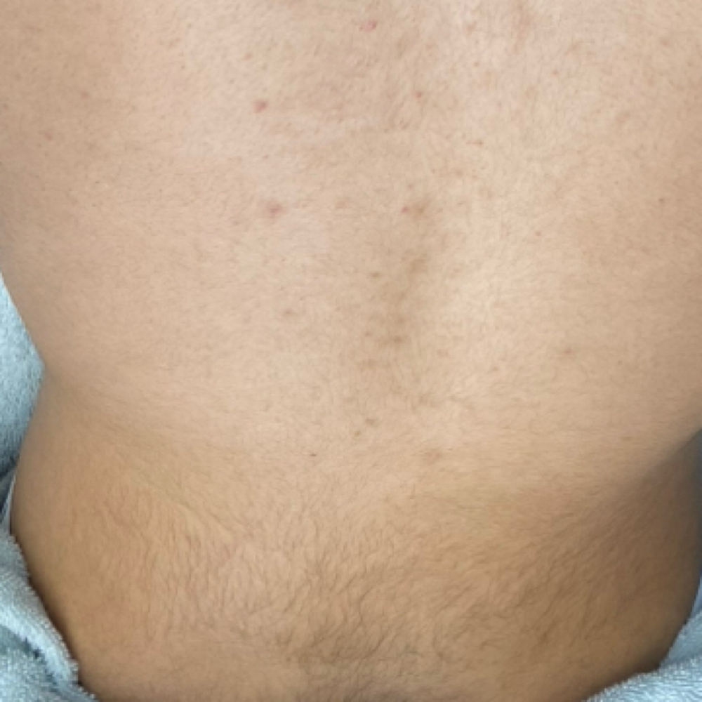 Lower Back Only at Bling Brow Bar in Eureka, CA