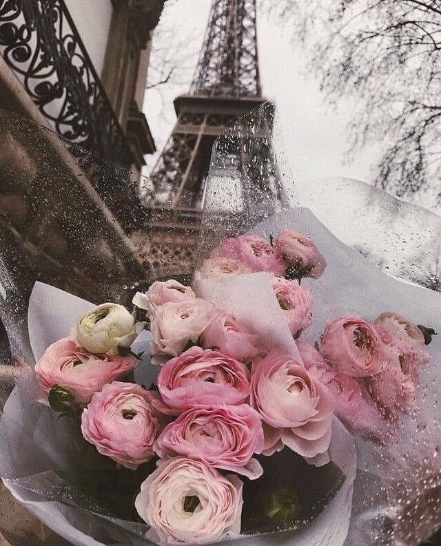 2 Week Volume Fill ♡ at Lash A Baddie 🧸 in Denver, CO