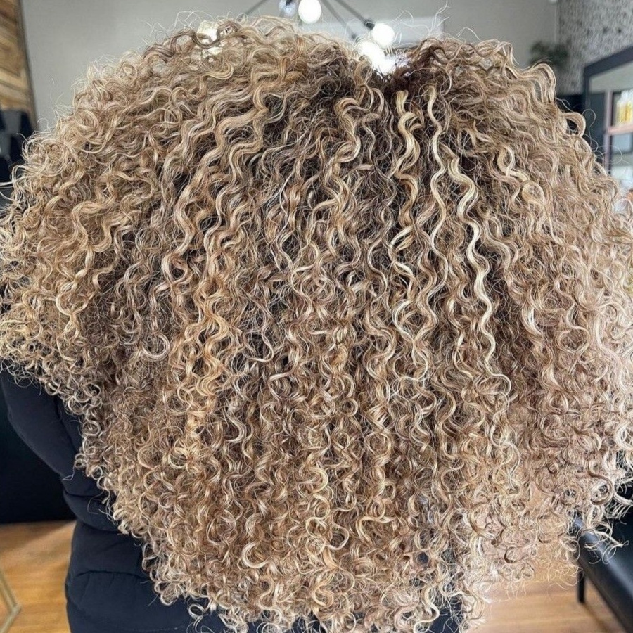 Type 4 (Coily/Kinky Hair) at JL'art Organic Salon in Katy, TX