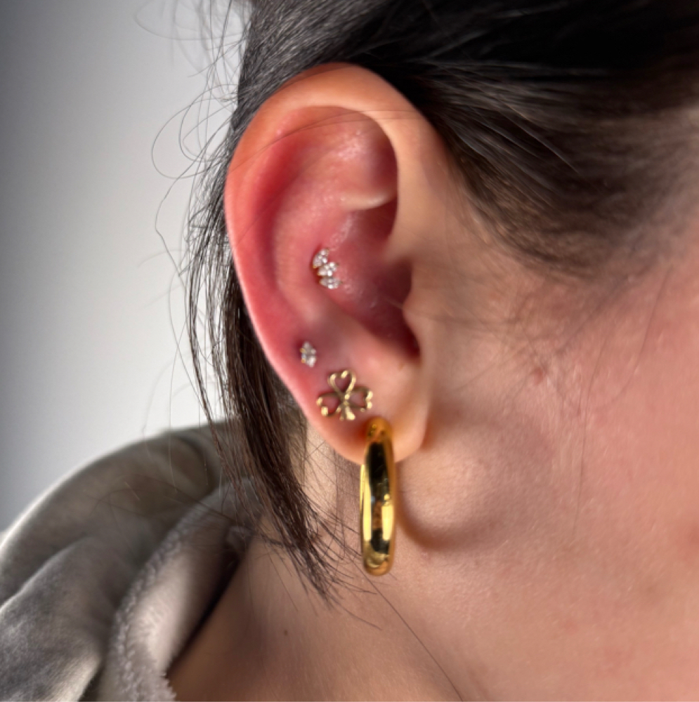 Conch at Kenzie  Miller in New Philadelphia, OH