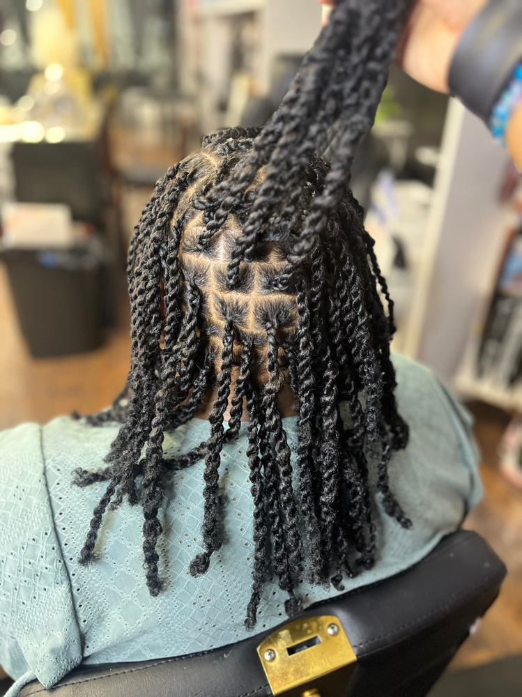 Mini Twists