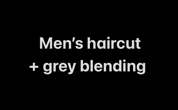 Men’s Haircut + Grey Blending