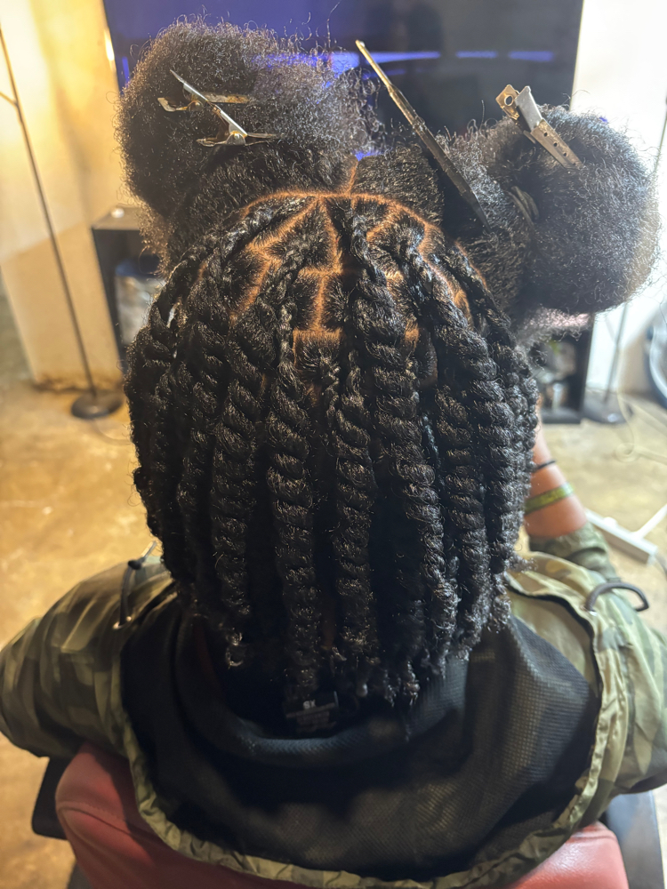 Mini Twists (Natural Hair)