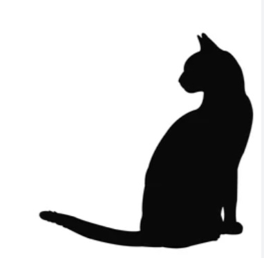 Full Groom (long Haired Cat)