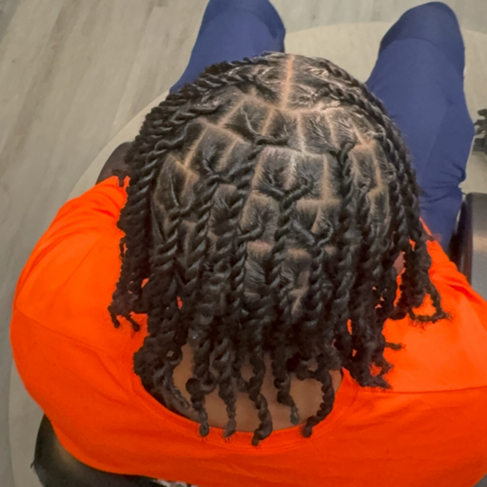 Natural Hair 2 Strand Twist at Crowned Conversations in Mt Holly, NJ