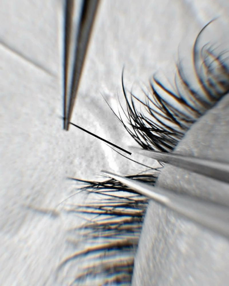 LASH FILL