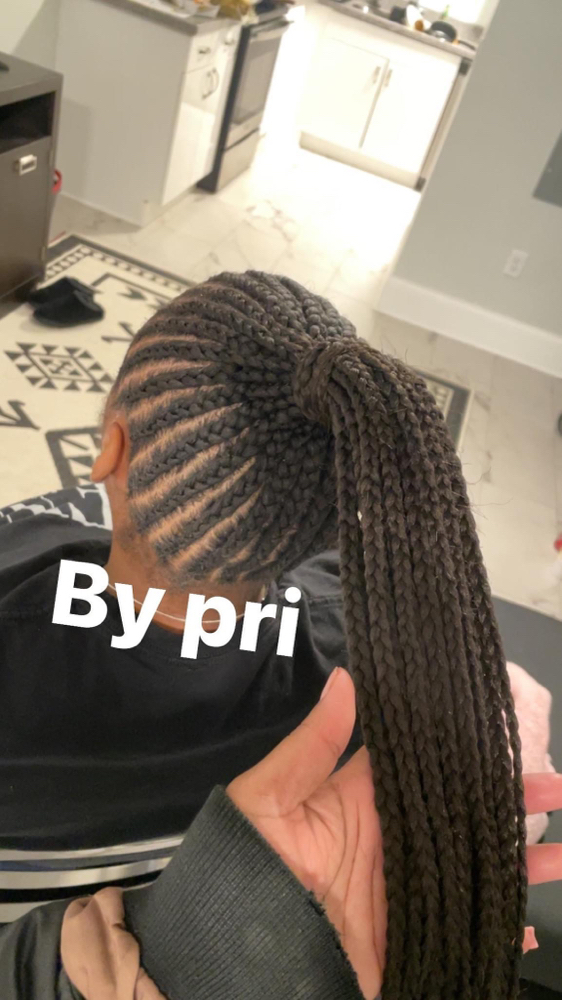 Braided Ponytail Small/medium