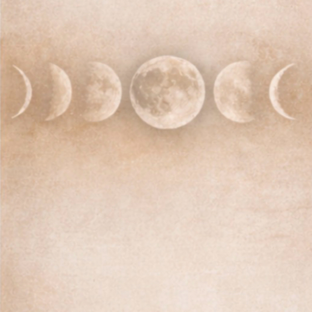 The Moonlit Curl Drycut at Picking Daisies Holistic Hair • By Appointment only in Sandpoint, ID
