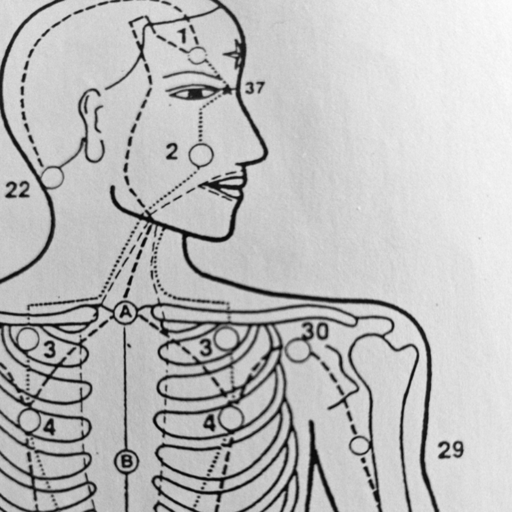 Armor Level Expand 120m. at Screaming Octopus in East Wenatchee, WA
