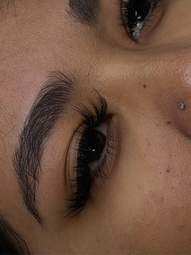 Hybrid Fill (2 weeks)
