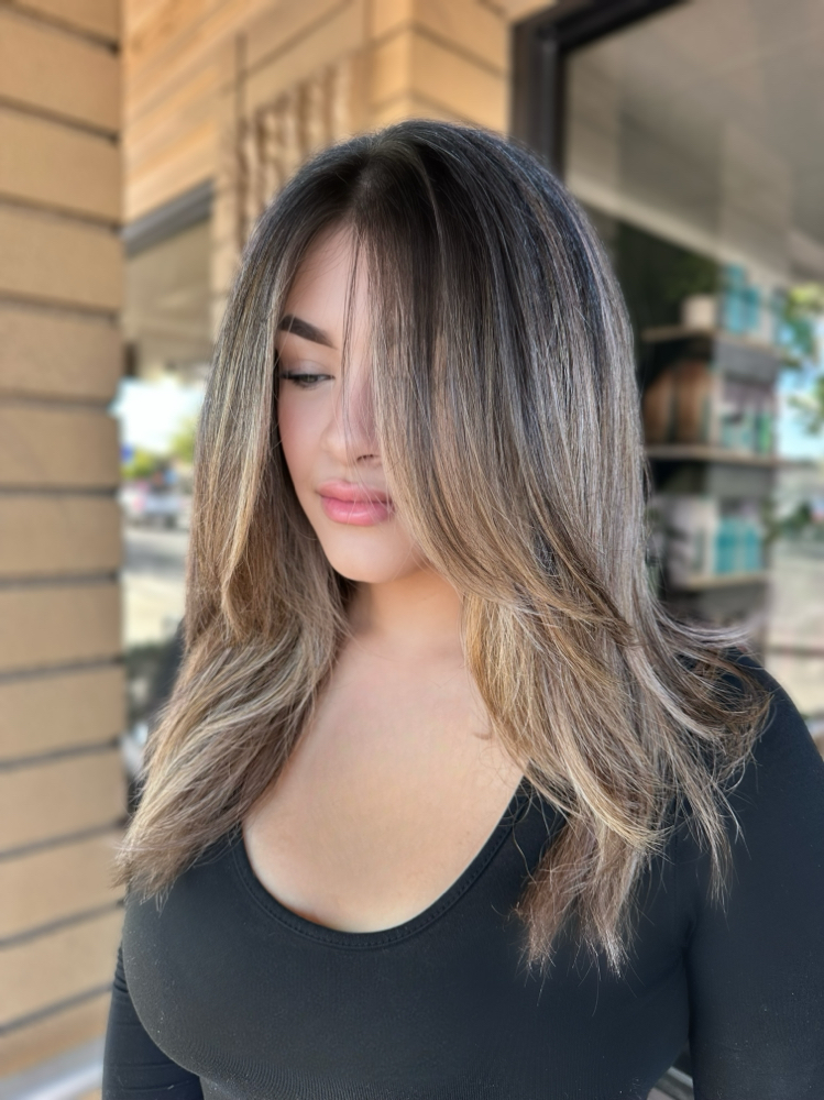 Balayage/Ombre W/ HC