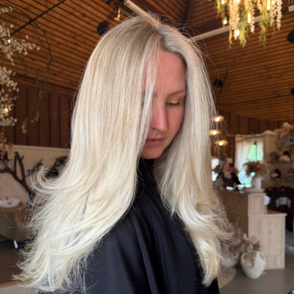 Blonde Mane package at The Mane Haven in Columbus, MS