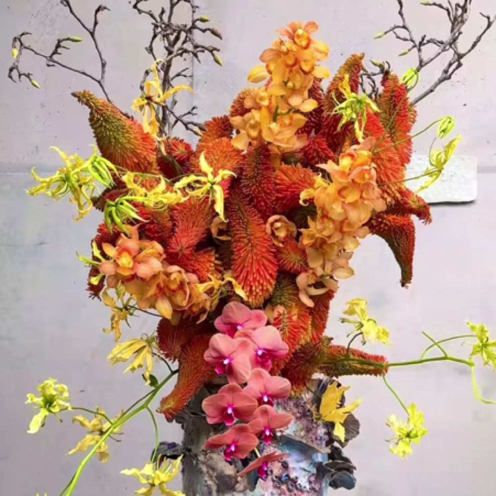 Eyebrow Shaping And Tinting