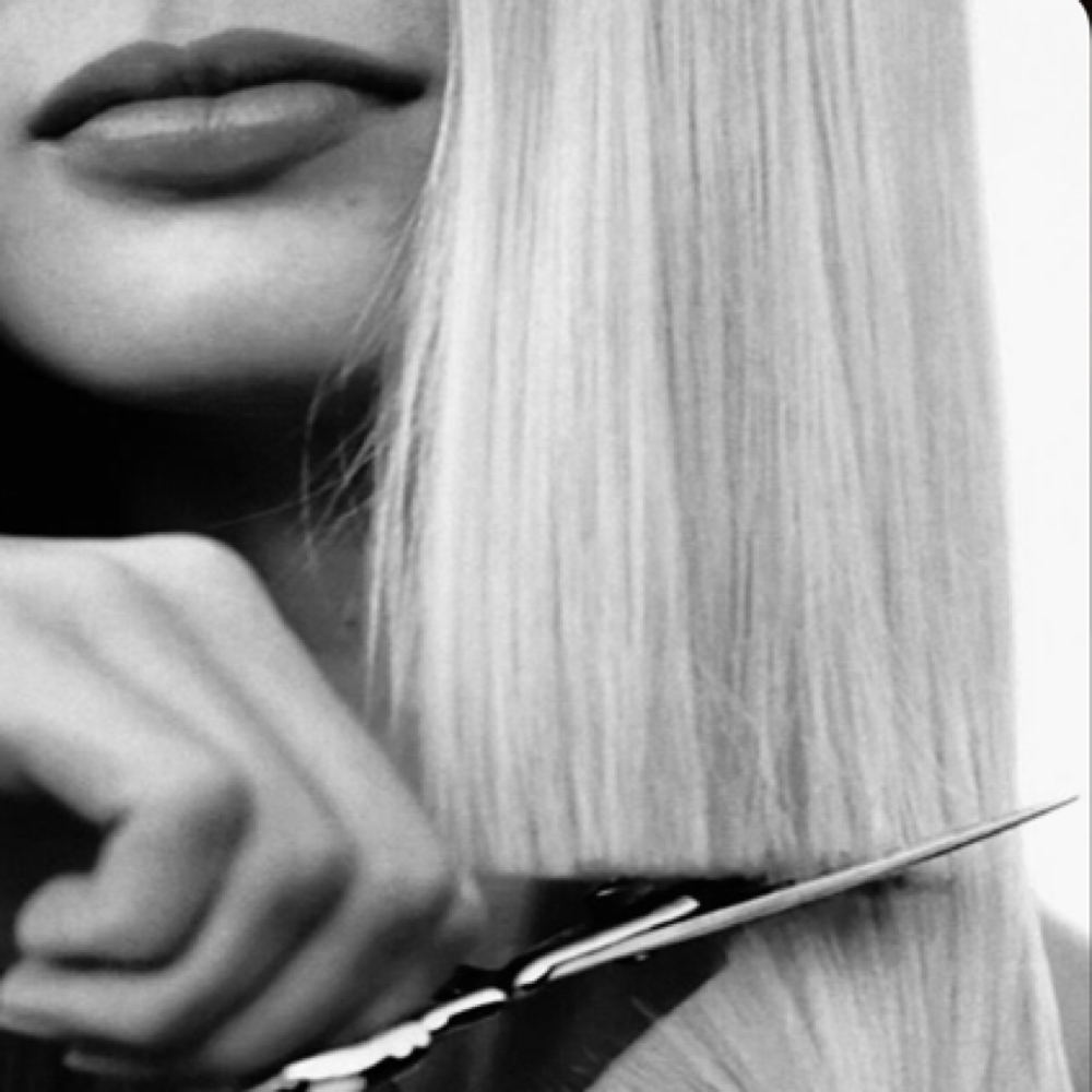 Dry cut ( ADD ON TO COLOR ONLY) at Niche Hair Co. in Baton Rouge, LA