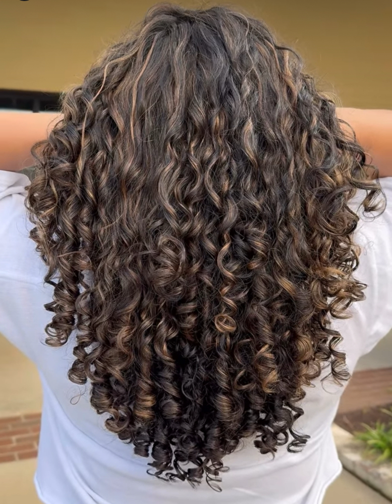 Ouidad Cut + Full Highlights+Toner