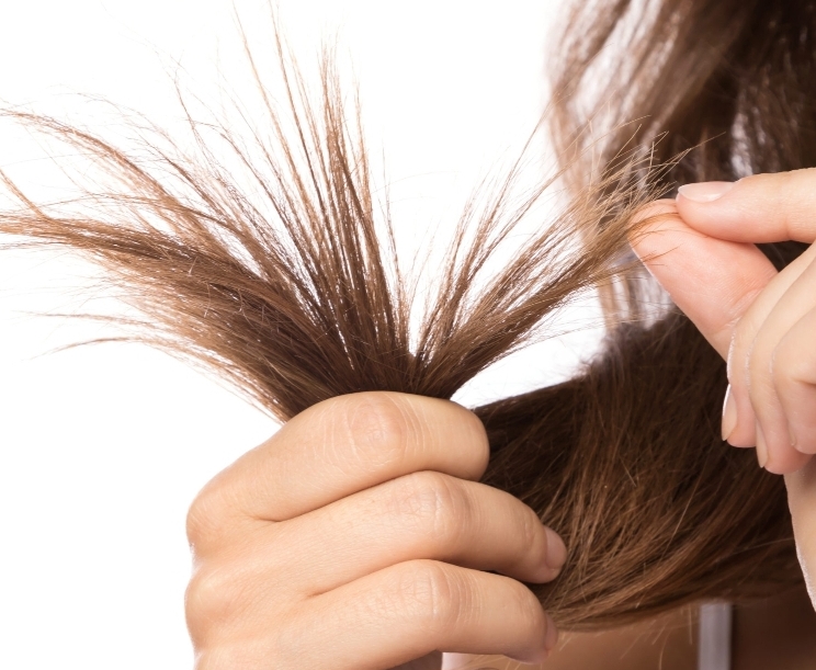 Deep Conditioning Treatment