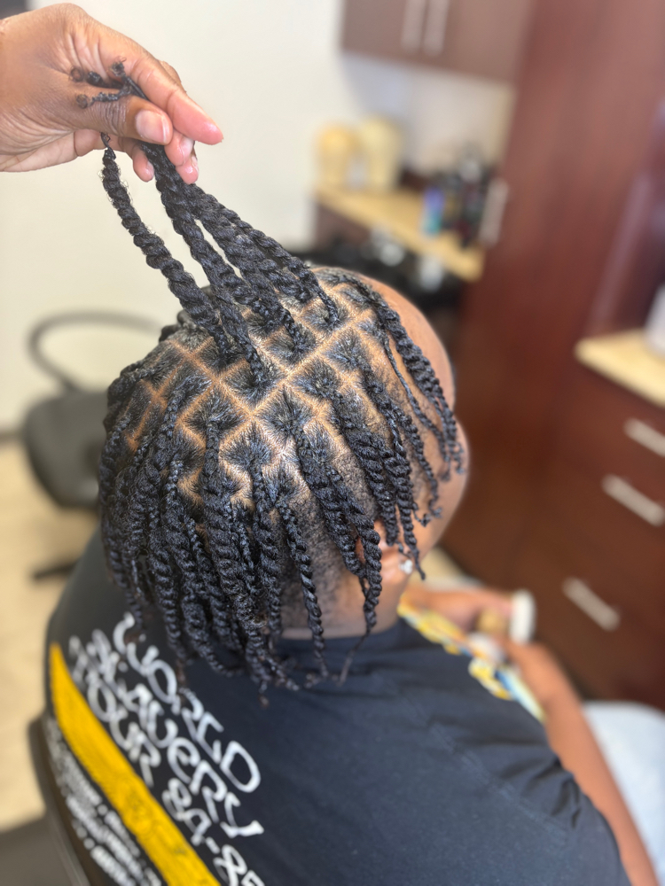 Men's Two Strand Twists