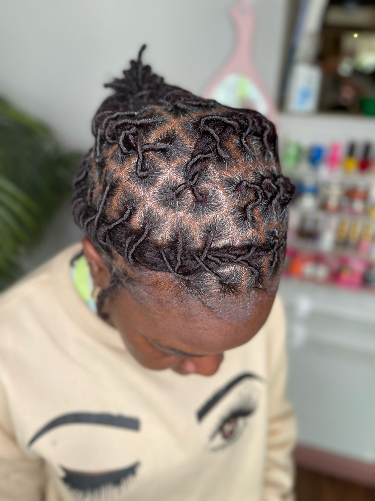 Loc Stylying