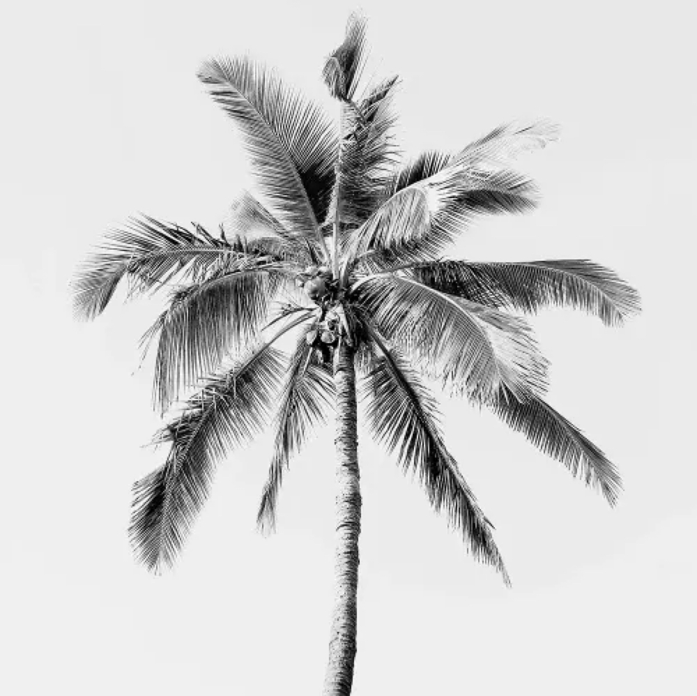 Spray Tan (Returning Client) at 33 Esthetics in Longwood, FL