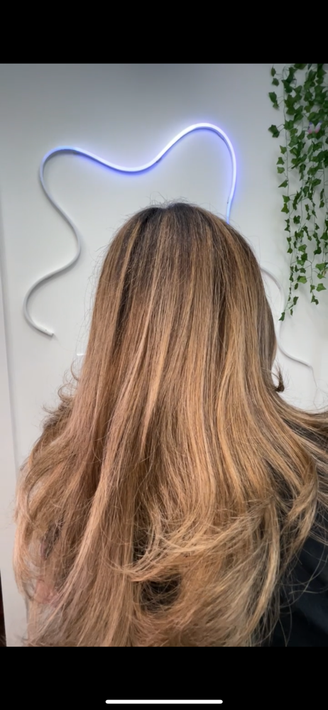 Full Highlights