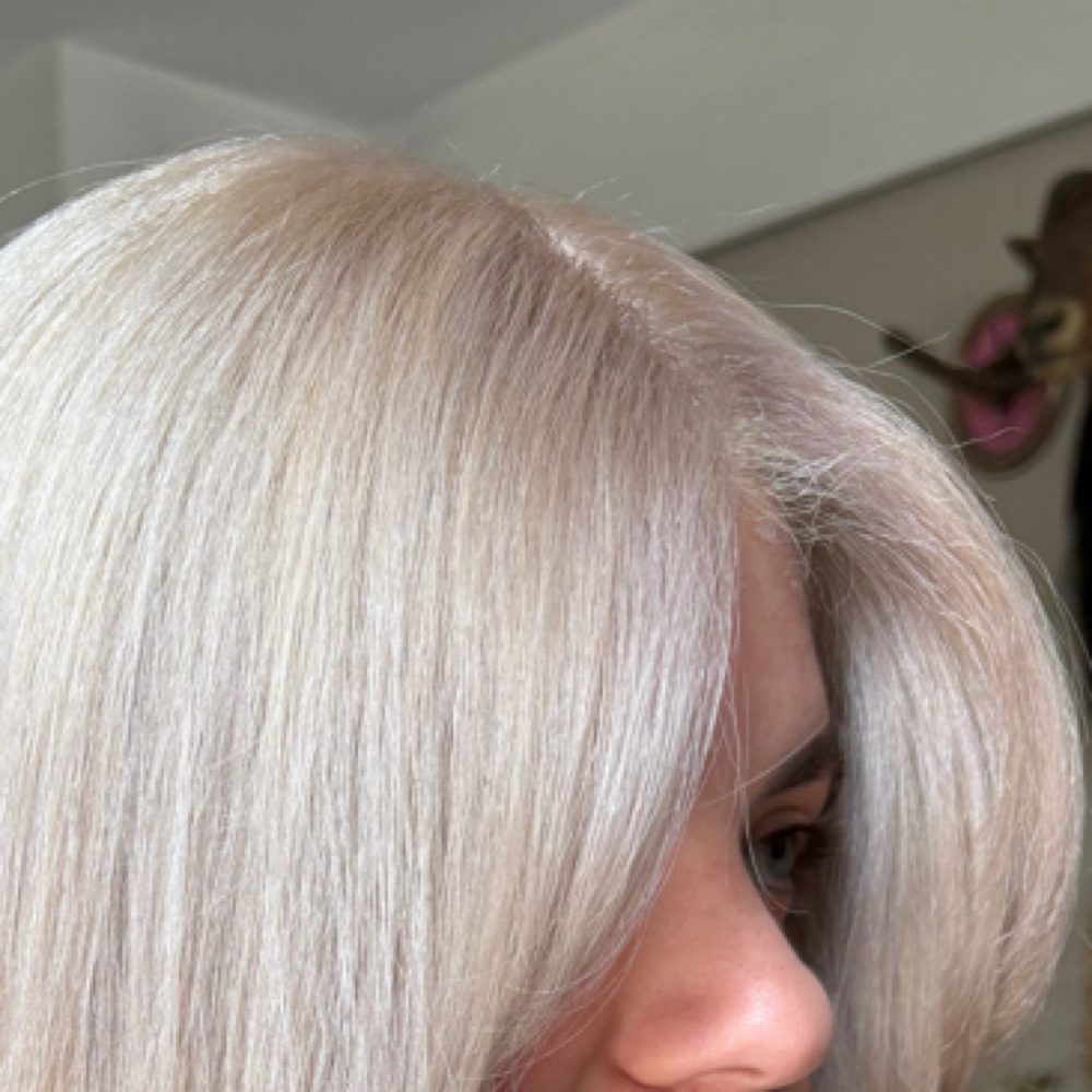 Bleach and tone retouch at Alex DeSimone in Charleston, SC
