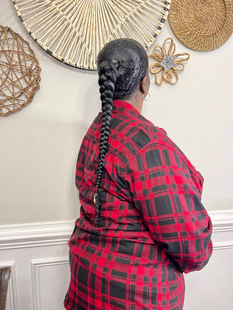 Sleek Braid / Sleek Ponytail
