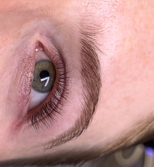 Brow Tint at Joyce Servin in Canton, MI