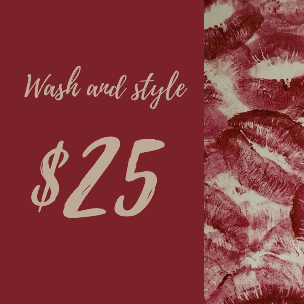 WASH AND STYLE at hairrby.lucy in Pleasant Grove, UT
