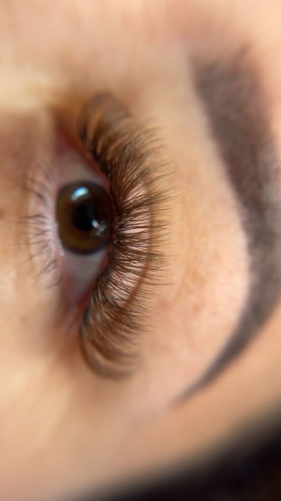 Volume all brown Lash Style