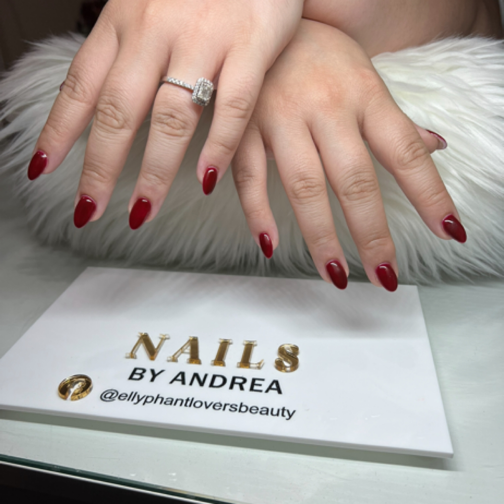 Level 1 Full Sets/Fills/Overlays at Ellyphantlovers Beauty in Okeechobee, FL