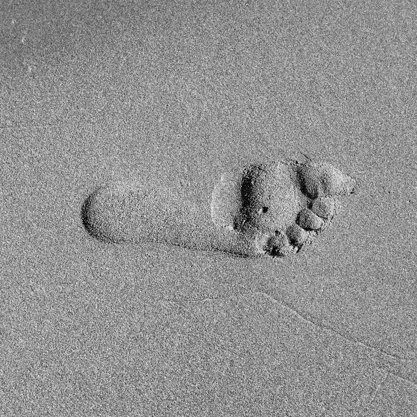 Three Queens Ionic Foot Detox at The Yoni Wellness Spot in El Centro, CA