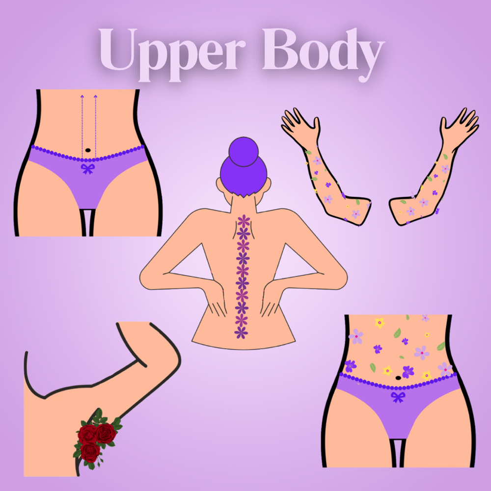 Upper Body✨