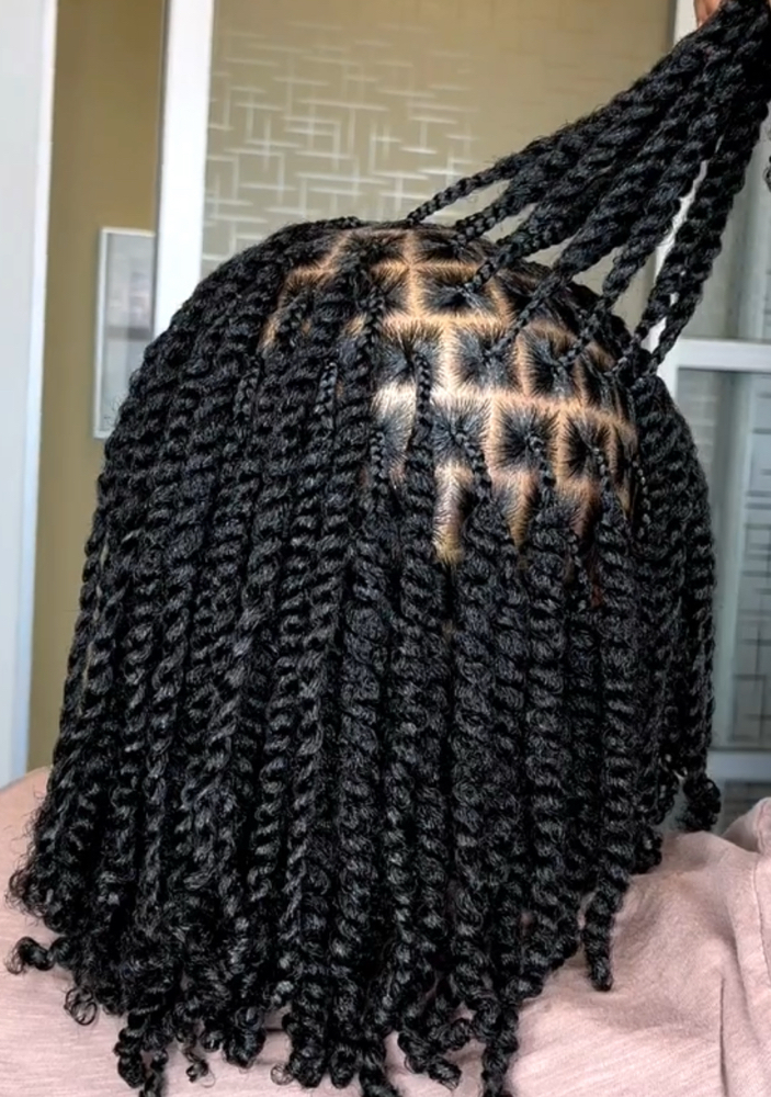 Twist W/ Human Hair(Medium) at D Hair and Braid Suite in Douglasville, GA