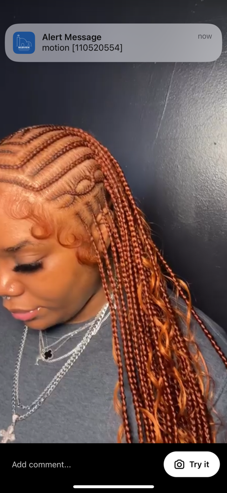 Fulani Braids (knotless In Back )