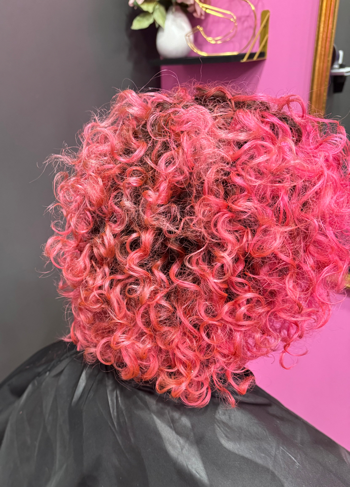 Curl Cut & Style